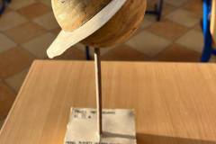 593467274_1469349761501216_8280266829627671292_n