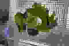 492042929_1273685501067644_8216494139415020918_n