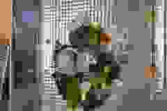 492367521_1273685497734311_7263000310227327147_n