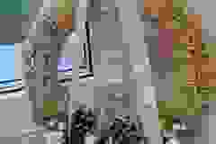 492374098_1280004267102434_4183550784984769000_n