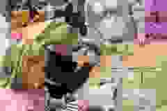 492404661_1280003340435860_8113433003123439245_n