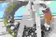 492551526_1280003323769195_7586610245058091267_n