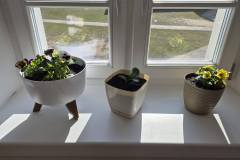 656672101_1564257655343759_2077250552544676742_n