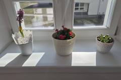 656925278_1564257418677116_9218665024030578023_n