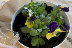 656974735_1564257122010479_8224864442025224237_n