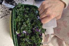 657037726_1564256808677177_7618628267700548756_n-1