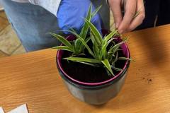 657055380_1564256942010497_8964739368982124927_n-1