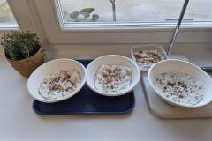 657323961_1564257705343754_7995906115400587396_n