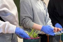 657359957_1564256985343826_8325337302988455625_n