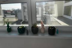 657711514_1564256885343836_6163734907307358975_n