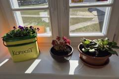 658556302_1564257608677097_5457339662801075252_n