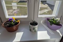 658599379_1564257495343775_2653840672371055017_n