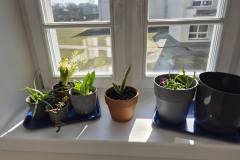 658815168_1564257552010436_8019814526180561030_n