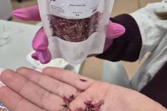 644305454_1541129577656567_4160570711115701076_n