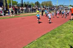 493820100_1282939436808917_3512010787928316058_n