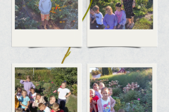 Floral Aesthetic Spring Photo Collage (25 x 30 cm) - 3